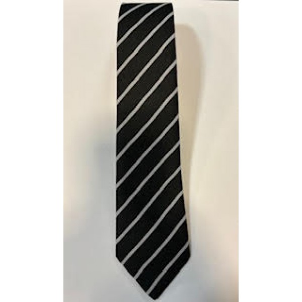 Banchory Primary Tie